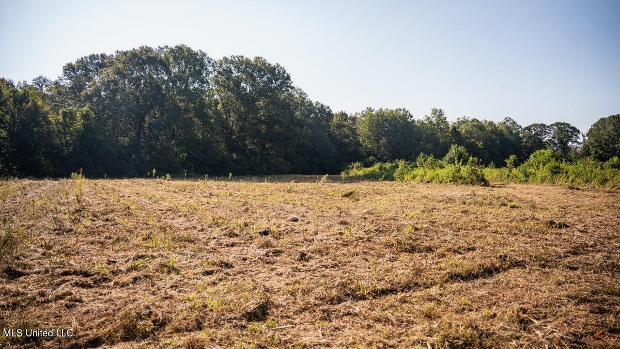 Cotton Creek 169 Acres for Sale in Amite County, MS