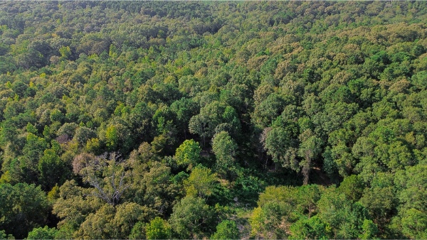 Multi-Use Land for Sale NE Lincoln Parish