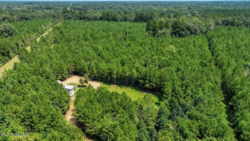 Magnolia MS 18.19 Acres with Mobile Home & Hunting Land