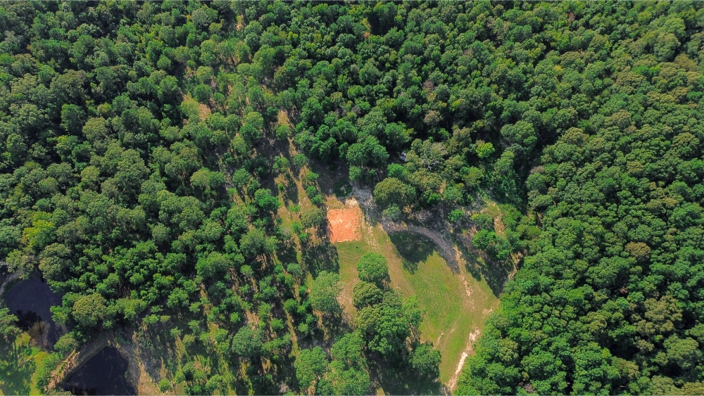 Northeast Lincoln Parish Land for Sale