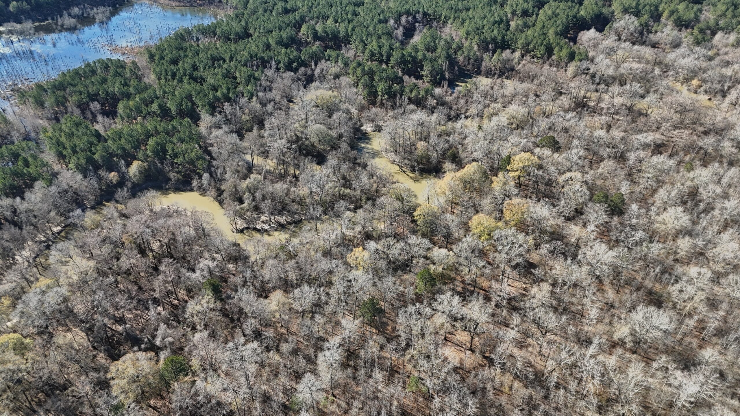Duck, Deer, and Fishing Land for Sale on Little River