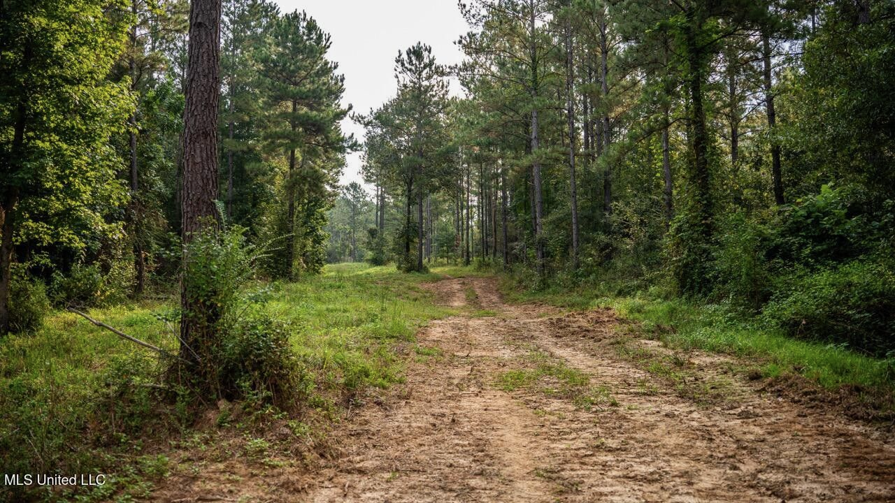 Ramsey Creek 67 Acres for Sale in Centreville, MS