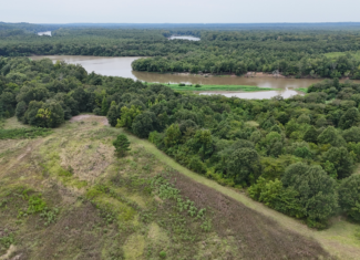 Duck and Deer Hunting Land for Sale Wisner  LA