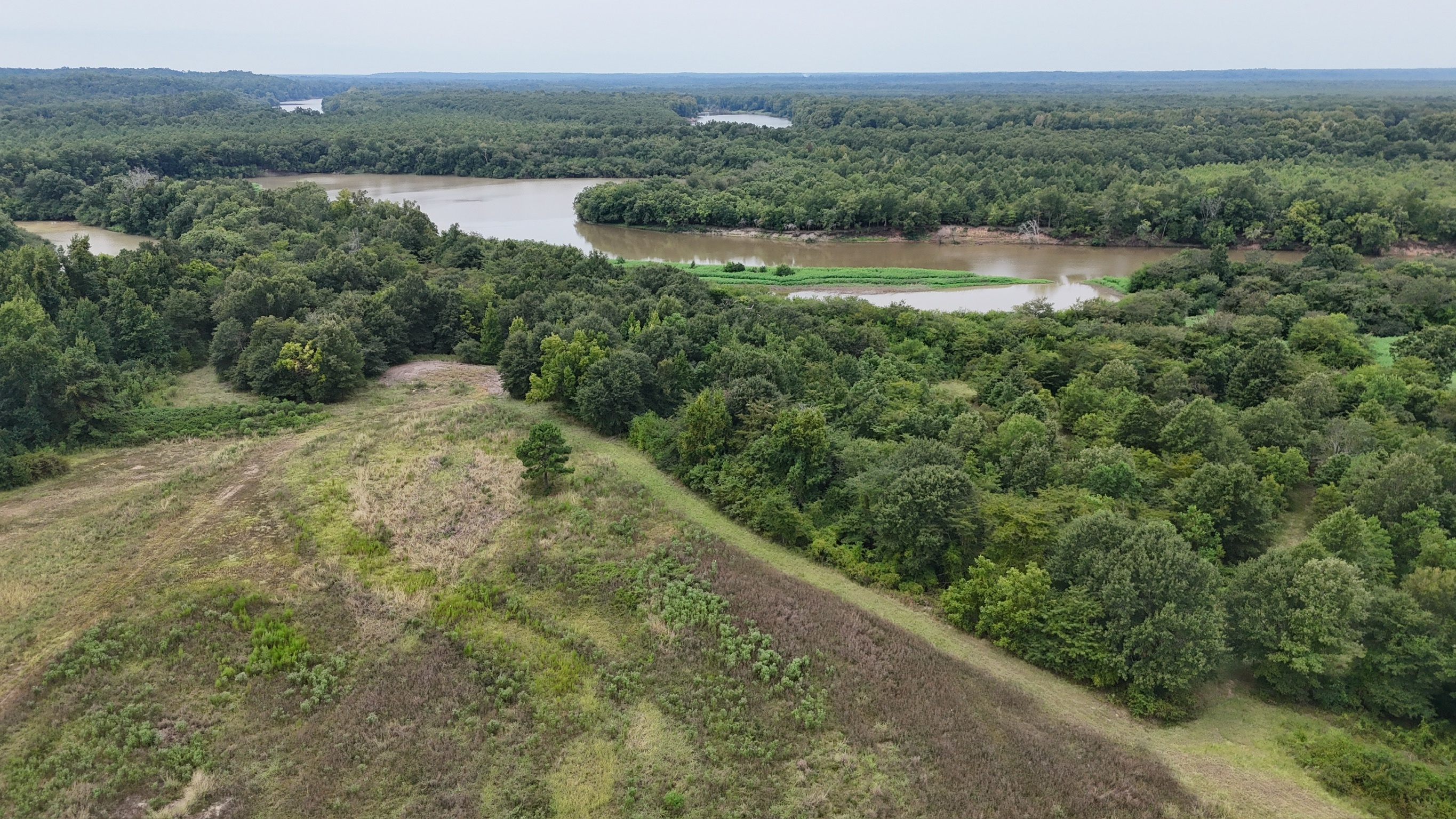 Duck and Deer Hunting Land for Sale Wisner  LA