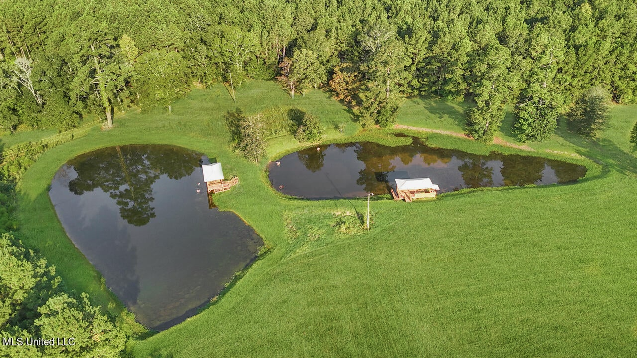 The Mississippi Retreat Near the LA/MS State Line