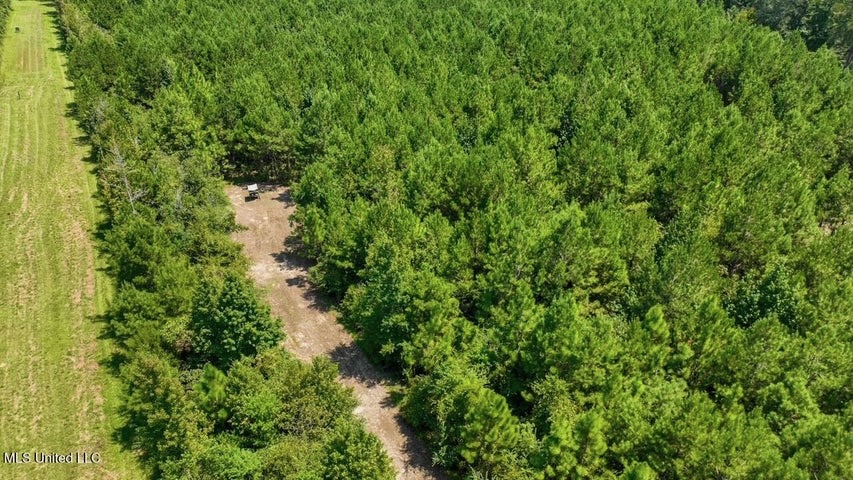 Magnolia MS 18.19 Acres with Mobile Home & Hunting Land