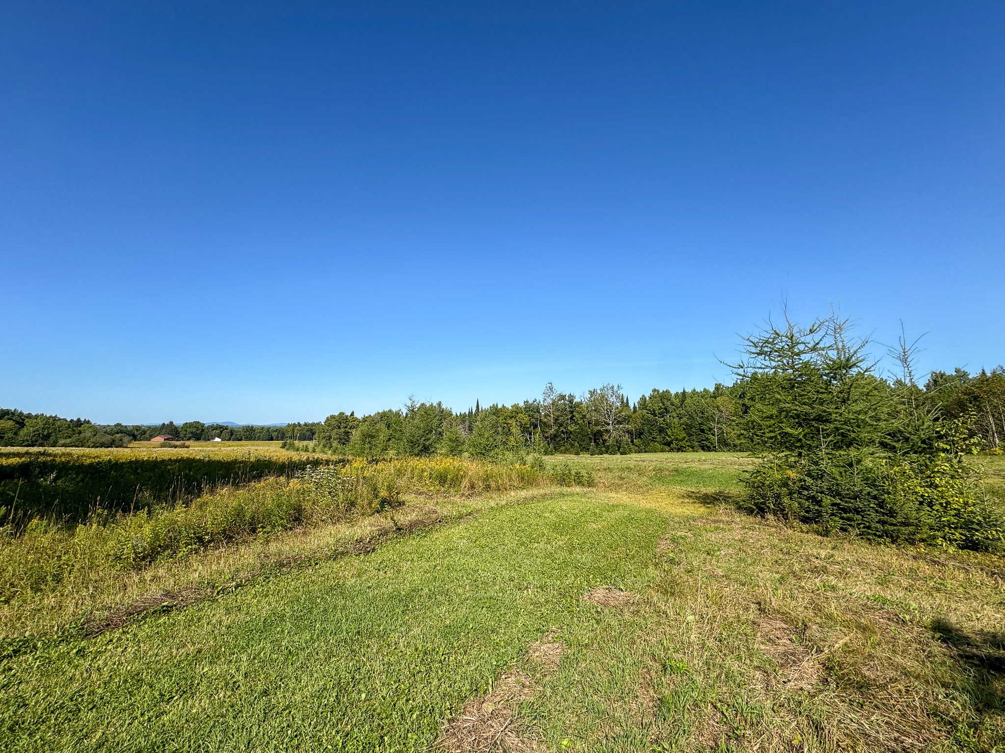145 Acres with Timber Frame Cabin & Barn in Masardis, Maine