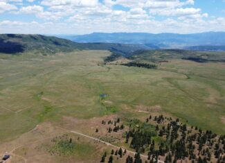 161 Acres San Juan Mountain Land for Sale in Placerville, CO