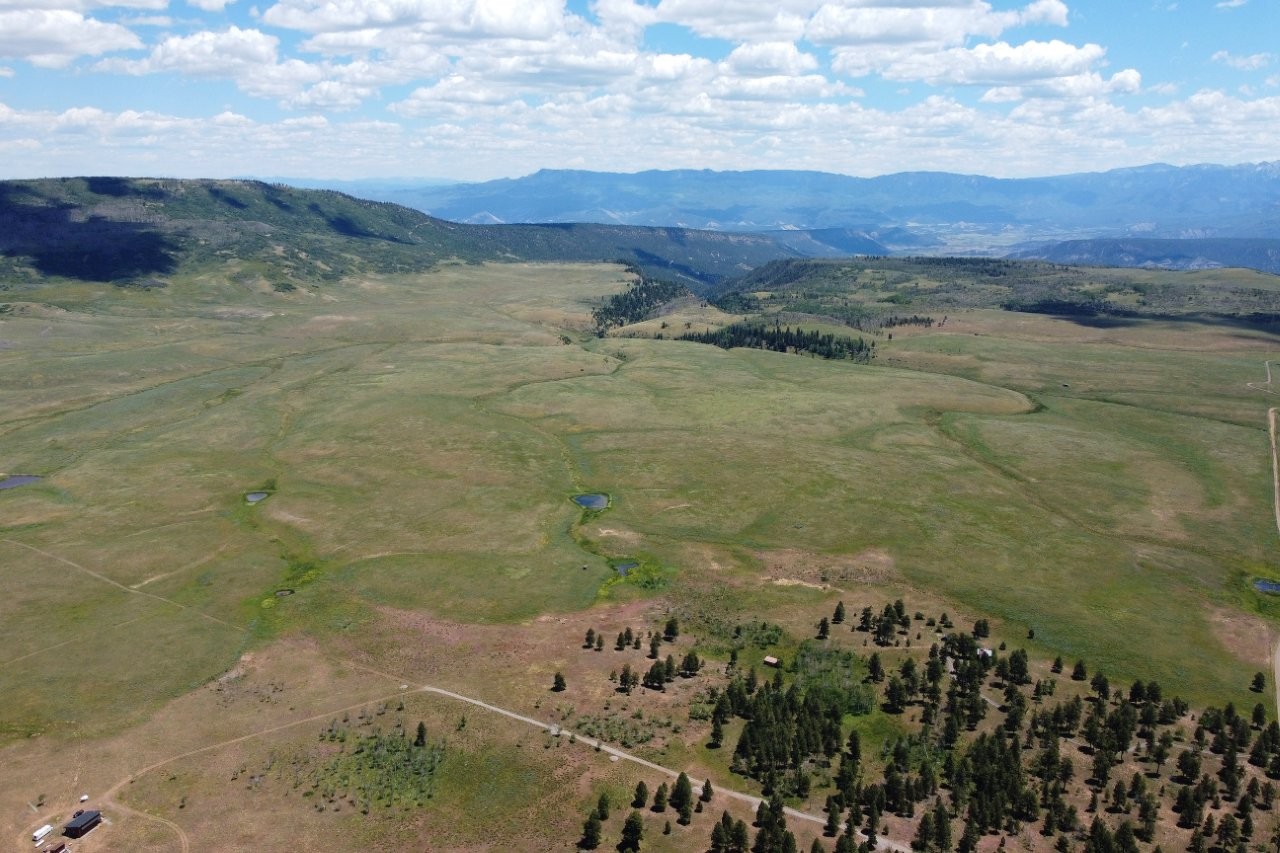 161 Acres San Juan Mountain Land for Sale in Placerville, CO
