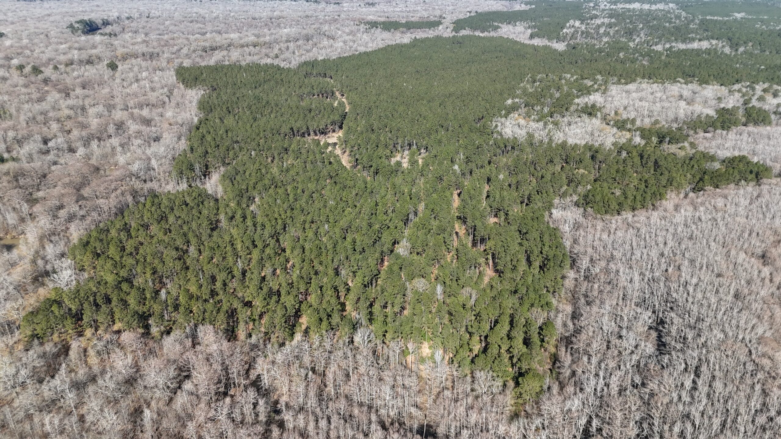 Duck, Deer, and Fishing Land for Sale on Little River