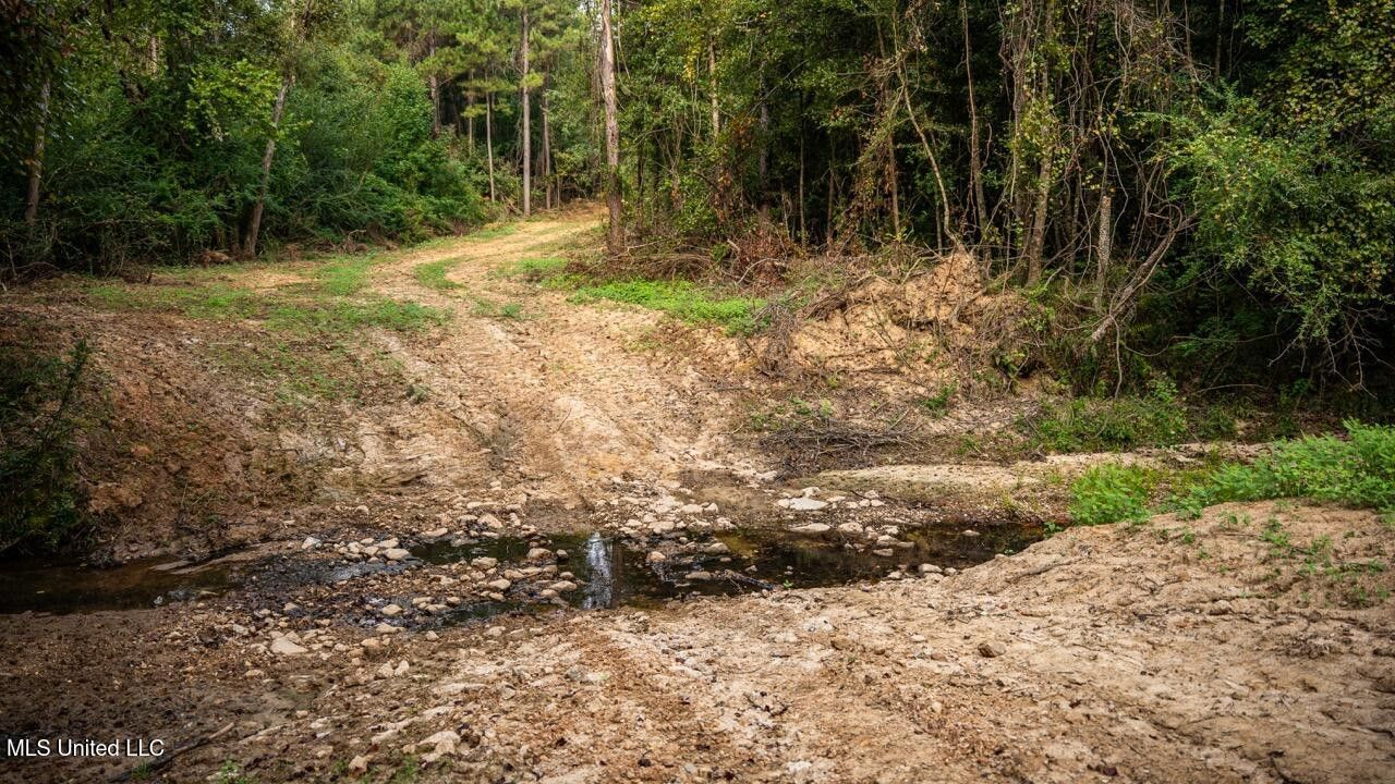 Ramsey Creek 67 Acres for Sale in Centreville, MS