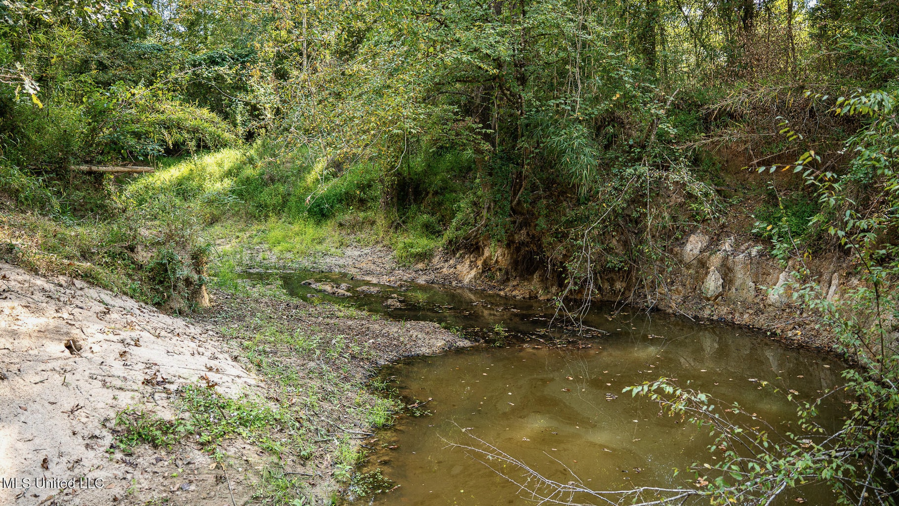 302 Acres in Hermanville, Claiborne County, MS Land