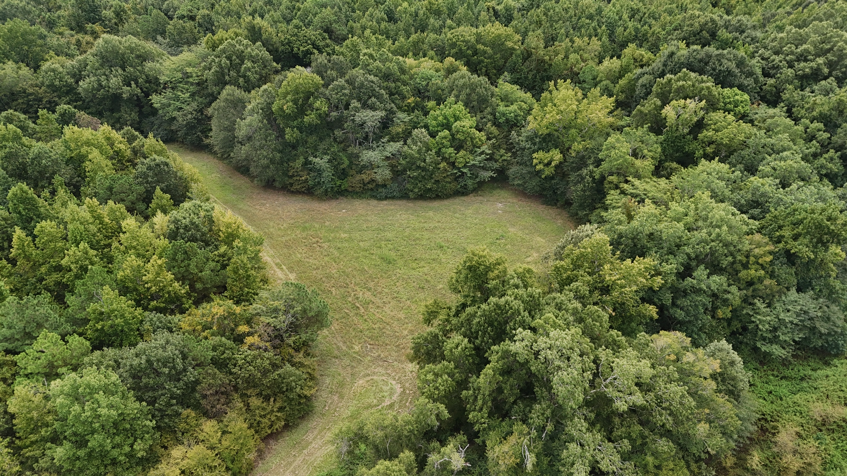 Duck and Deer Hunting Land for Sale Wisner  LA