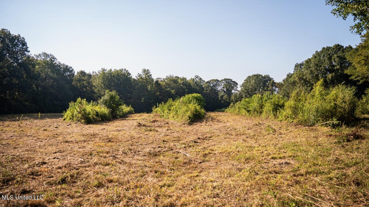Cotton Creek 169 Acres for Sale in Amite County, MS