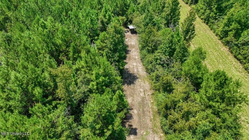 Magnolia MS 18.19 Acres with Mobile Home & Hunting Land
