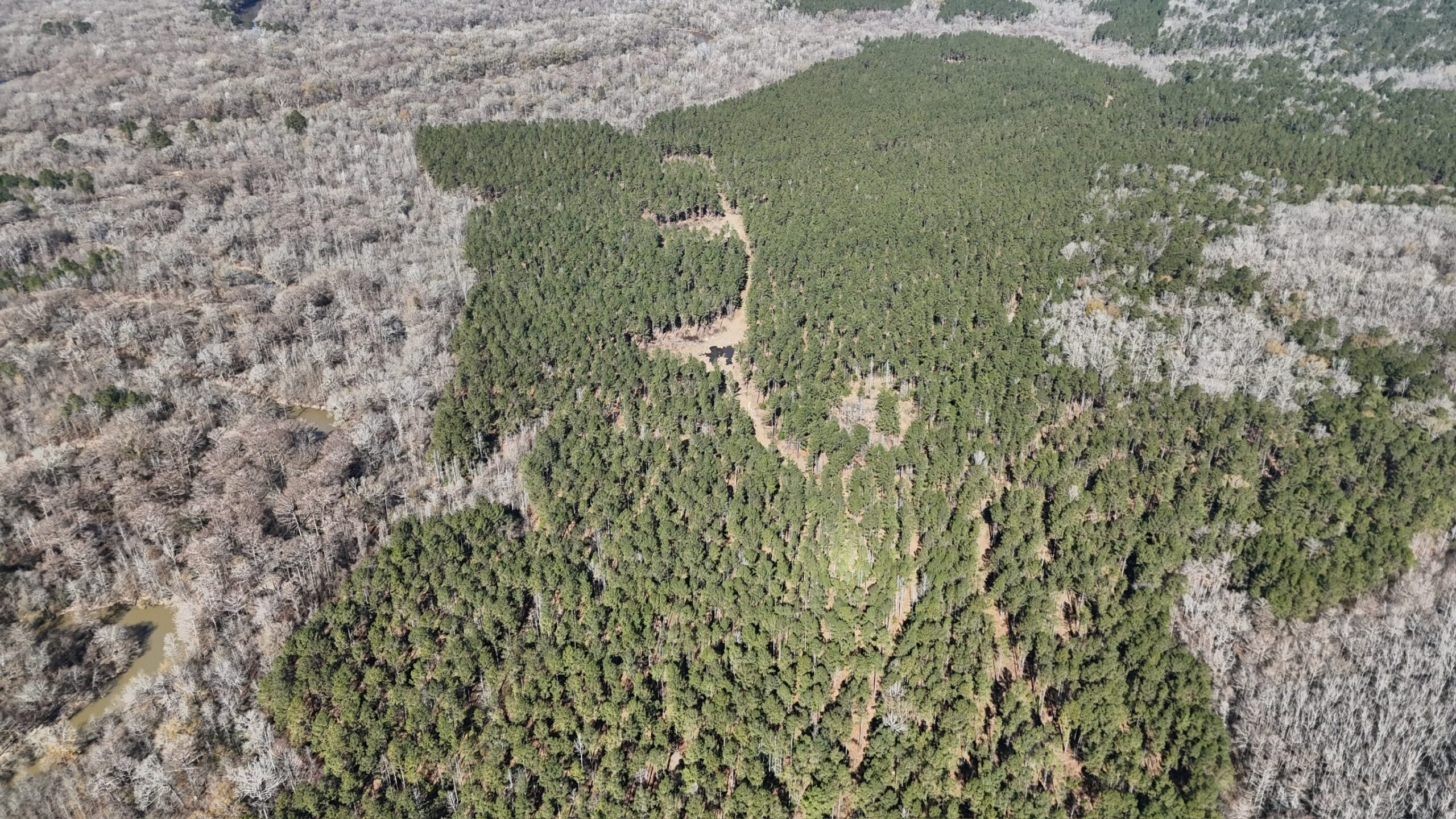Duck, Deer, and Fishing Land for Sale on Little River