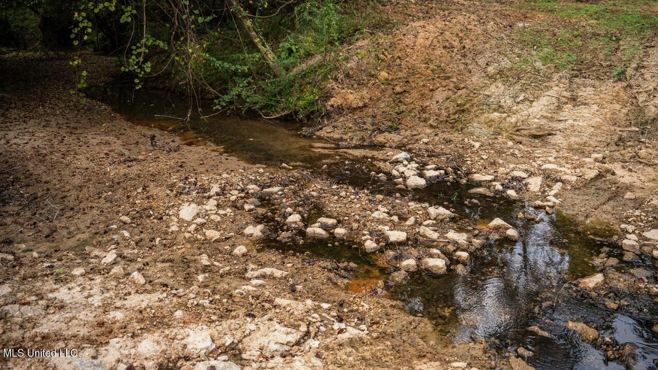Ramsey Creek 67 Acres for Sale in Centreville, MS