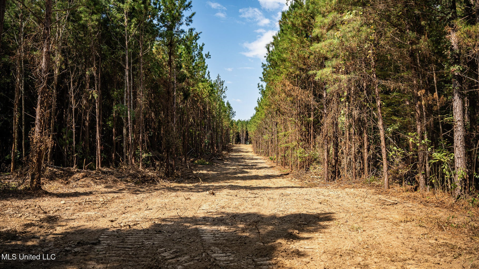 302 Acres in Hermanville, Claiborne County, MS Land