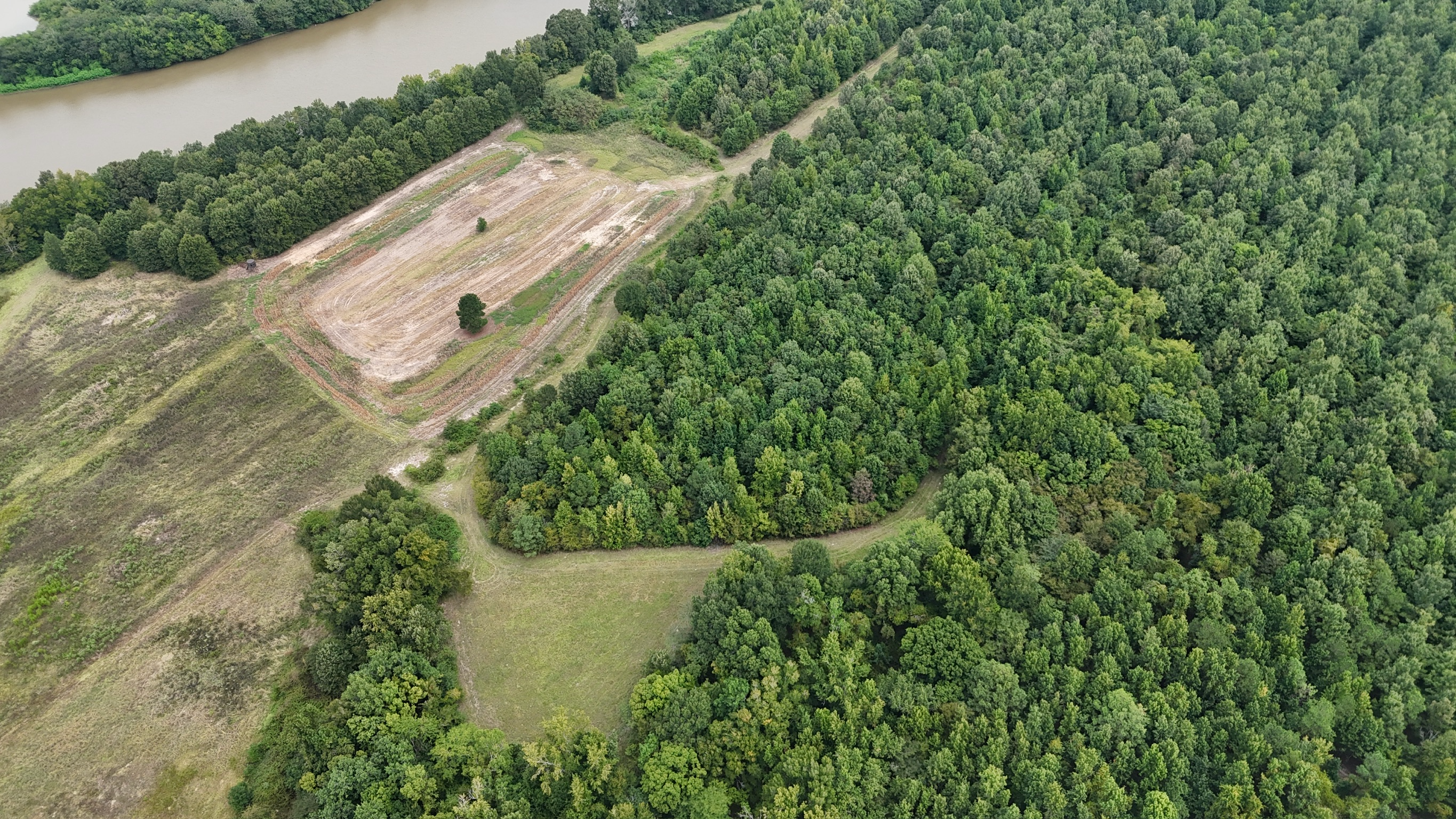 Duck and Deer Hunting Land for Sale Wisner  LA