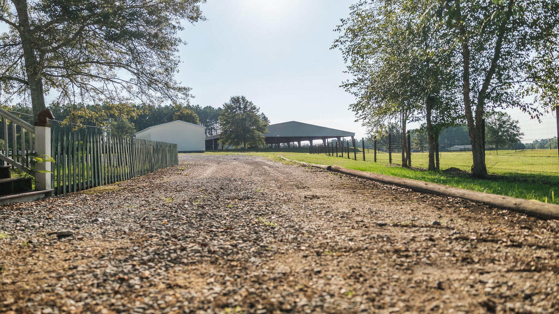 Golden Pines Ranch 235 Recreational Acres in Stone County MS