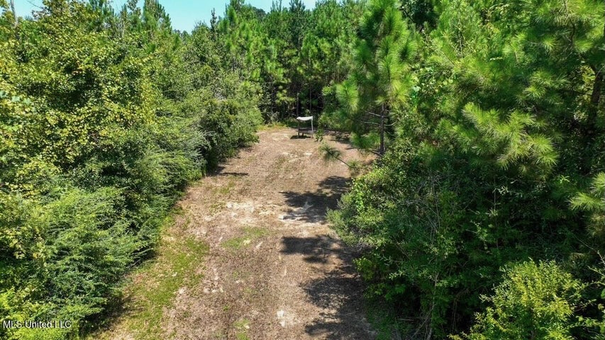 Magnolia MS 18.19 Acres with Mobile Home & Hunting Land