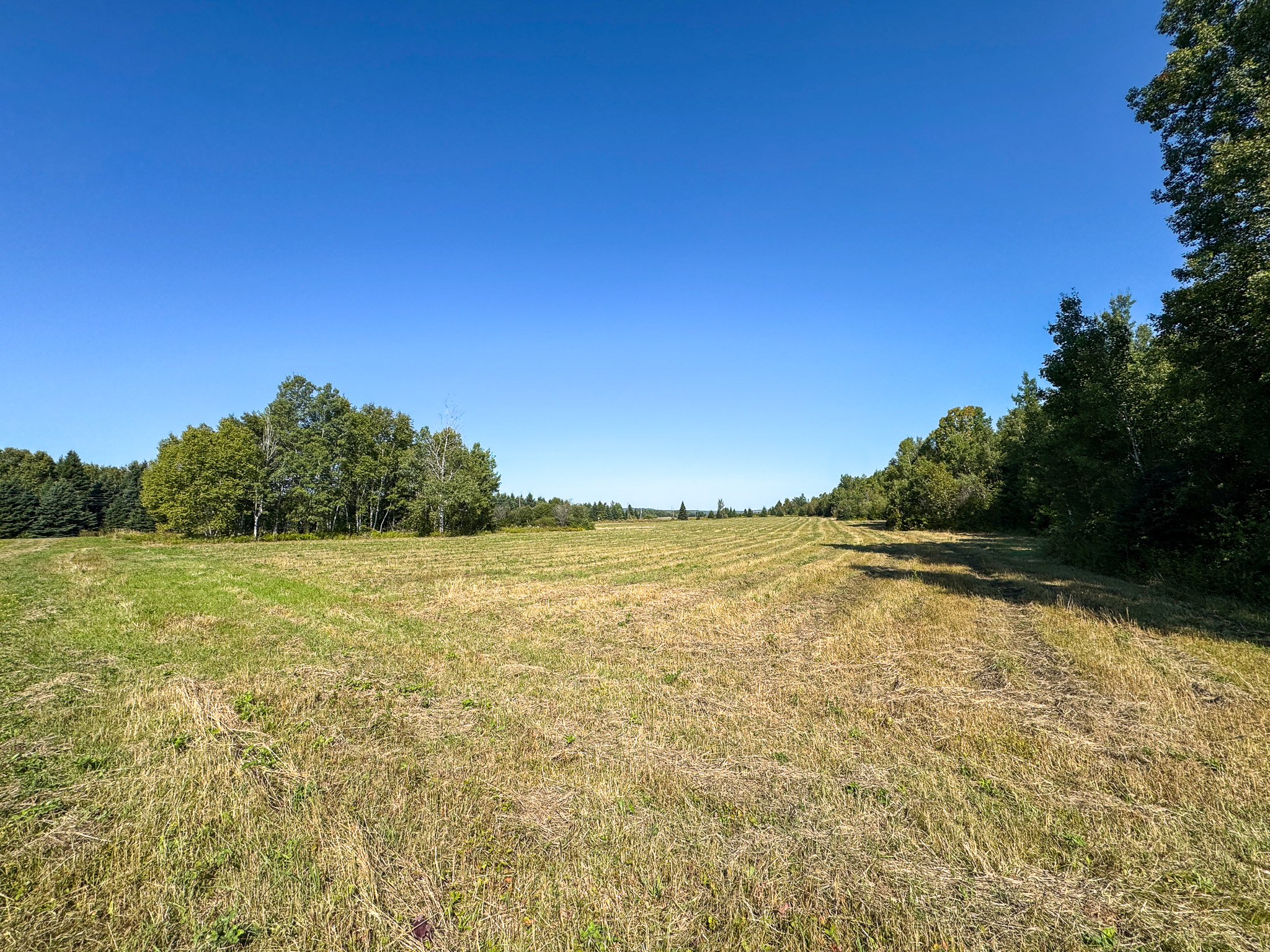 145 Acres with Timber Frame Cabin & Barn in Masardis, Maine