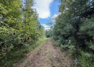 Thomaston Family Hunting and Homesite