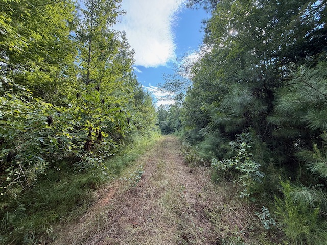 Thomaston Family Hunting and Homesite