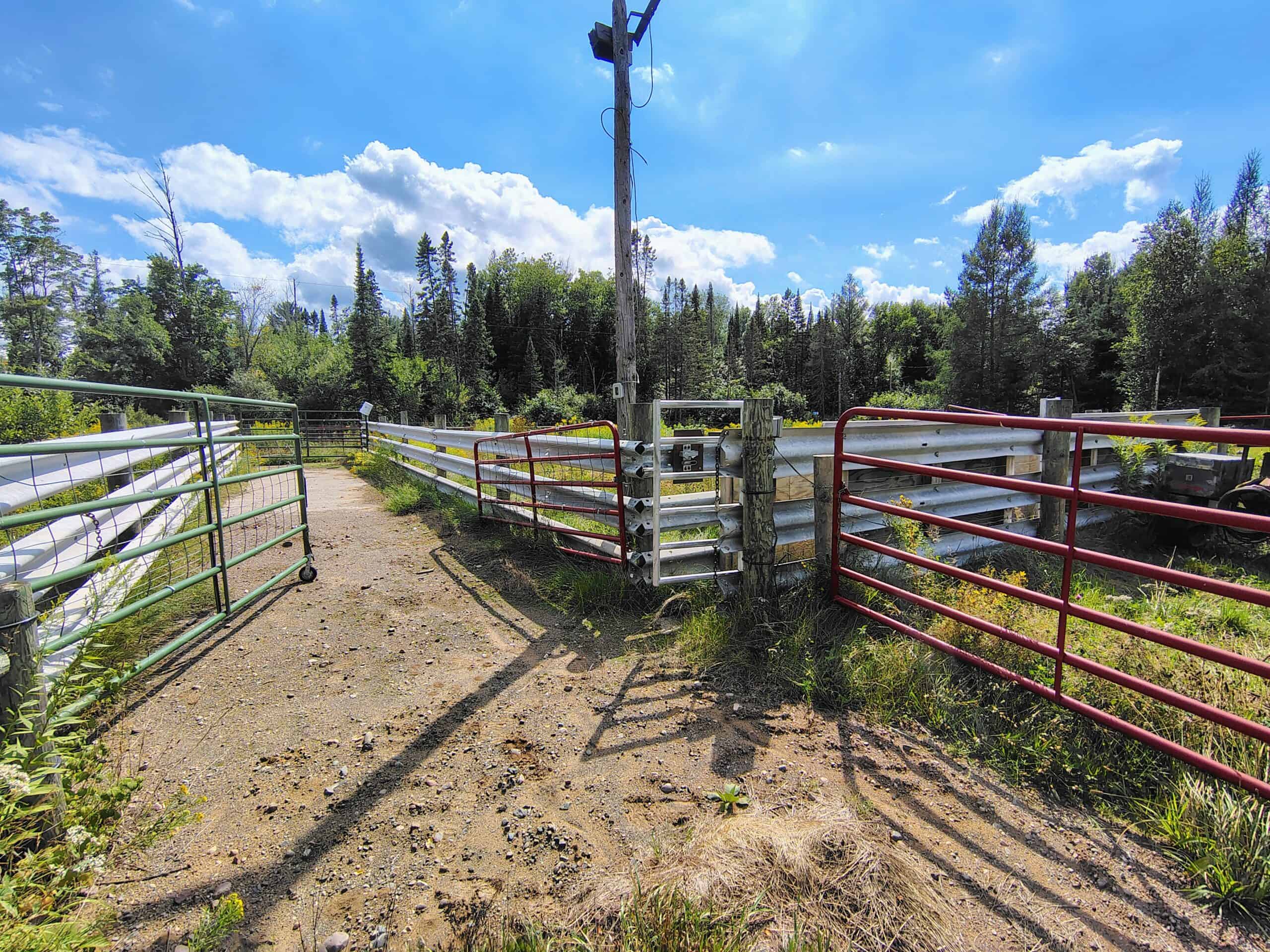 Country Home with Acreage for Sale in Glidden, WI