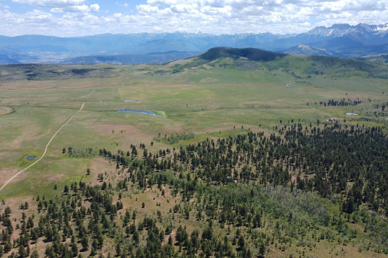 161 Acres San Juan Mountain Land for Sale in Placerville, CO