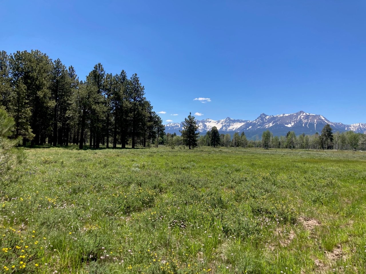 161 Acres San Juan Mountain Land for Sale in Placerville, CO