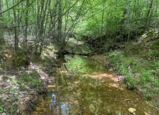 LAND FOR SALE IN TN, CREEKS, OPEN LAND, WOODED, CITY WATER