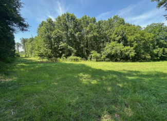 Hunting Property and Homesite in Jackson Parish LA