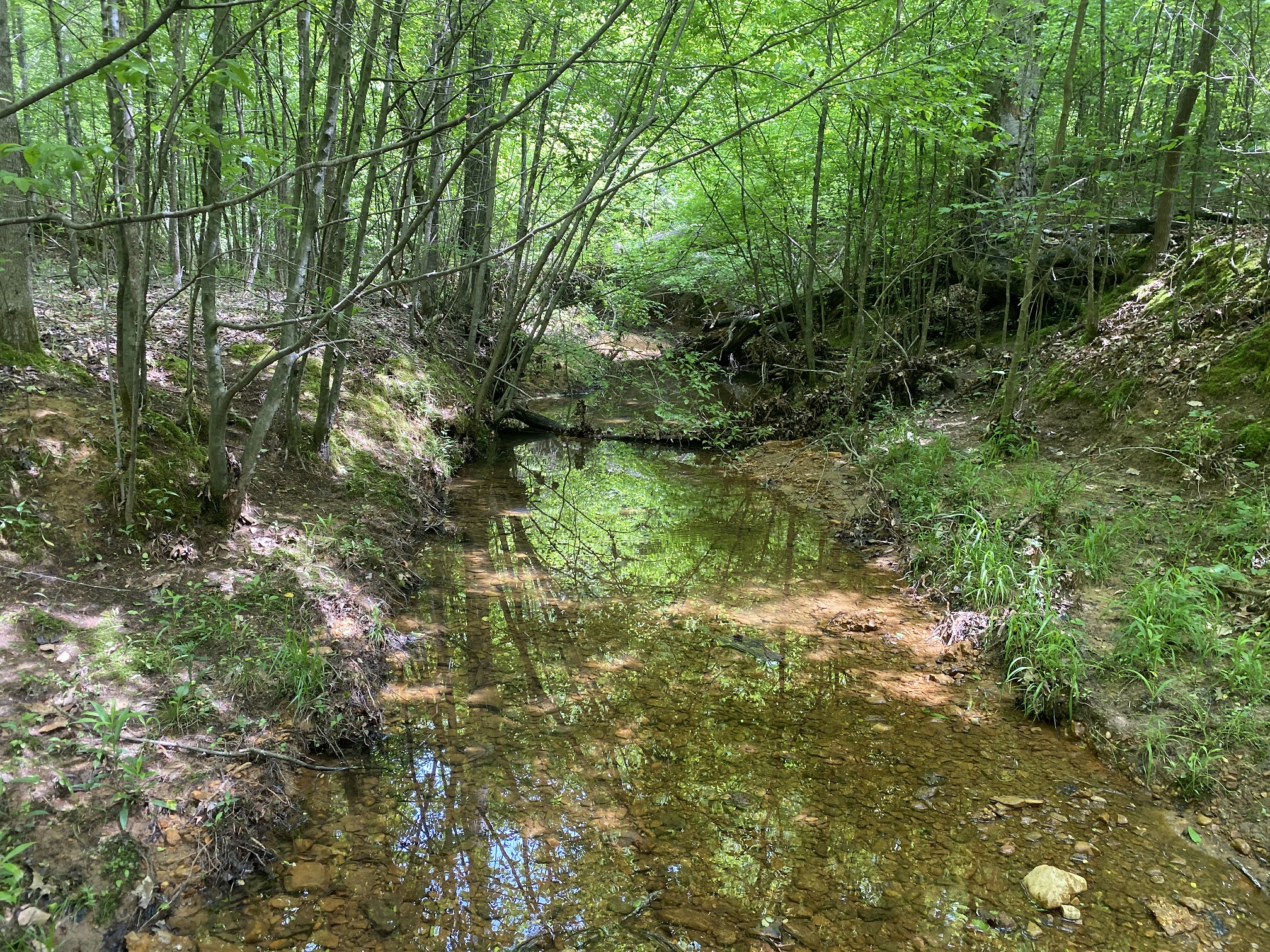 LAND FOR SALE IN TN, CREEKS, OPEN LAND, WOODED, CITY WATER