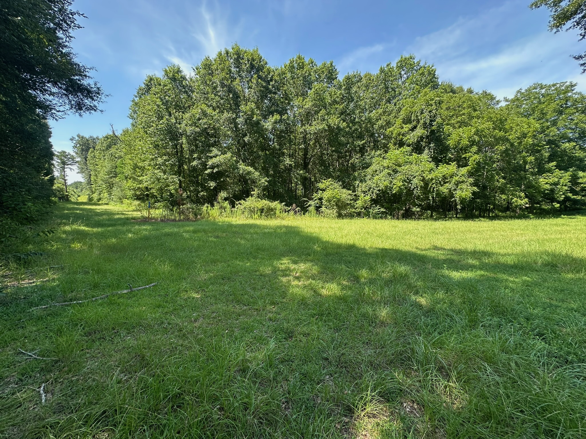 Hunting Property and Homesite in Jackson Parish LA