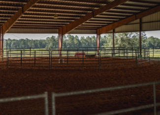 Golden Pines Ranch 235 Recreational Acres in Stone County MS