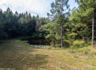 Hunting Land for Sale in Copiah County MS – Dixie Garden 46