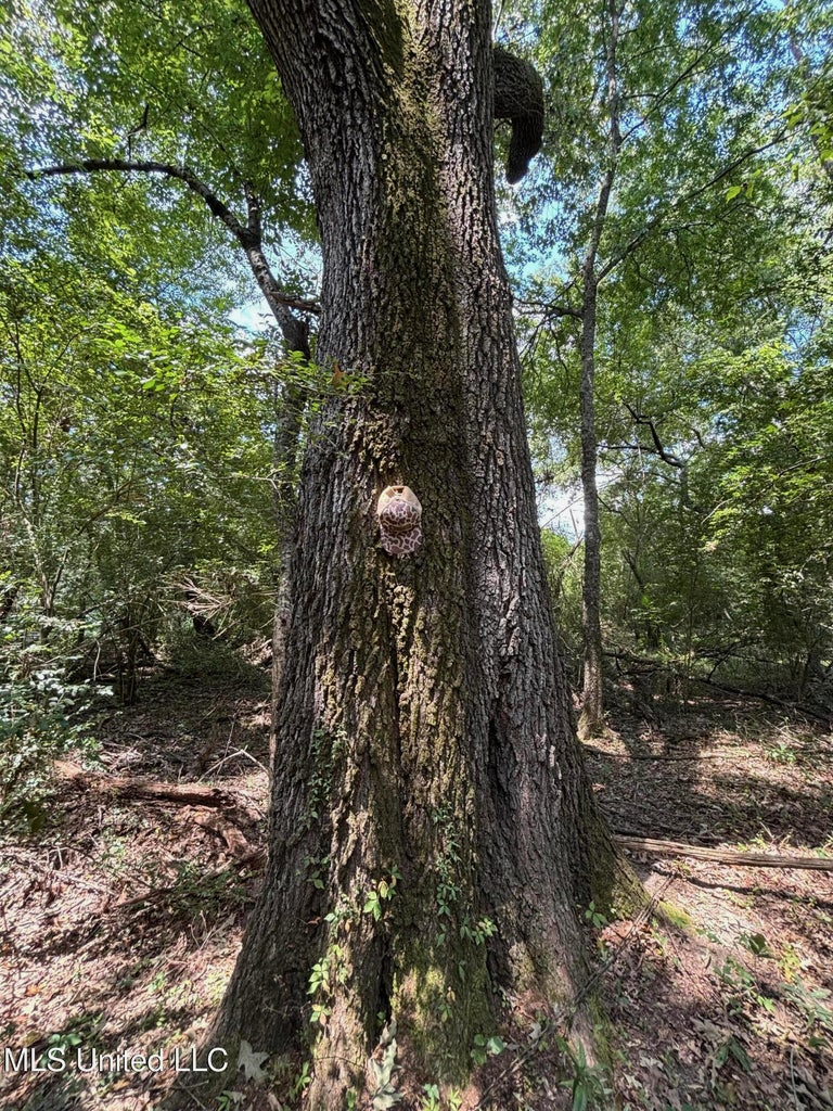 88 Acres for Sale in Hinds County Jackson, MS