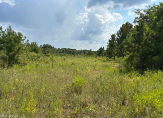 95 Acres for Sale in Hinds County Jackson, MS