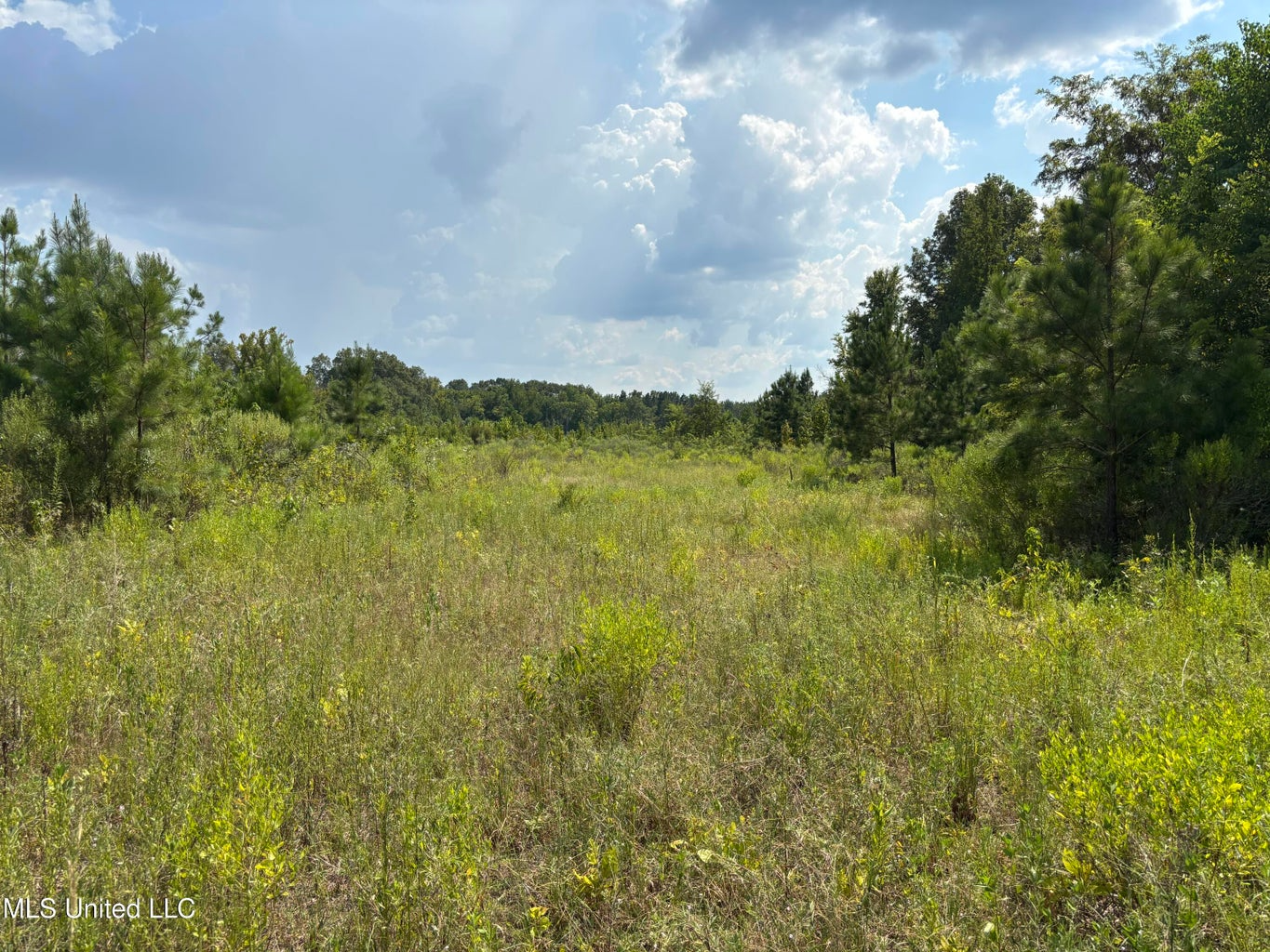 95 Acres for Sale in Hinds County Jackson, MS