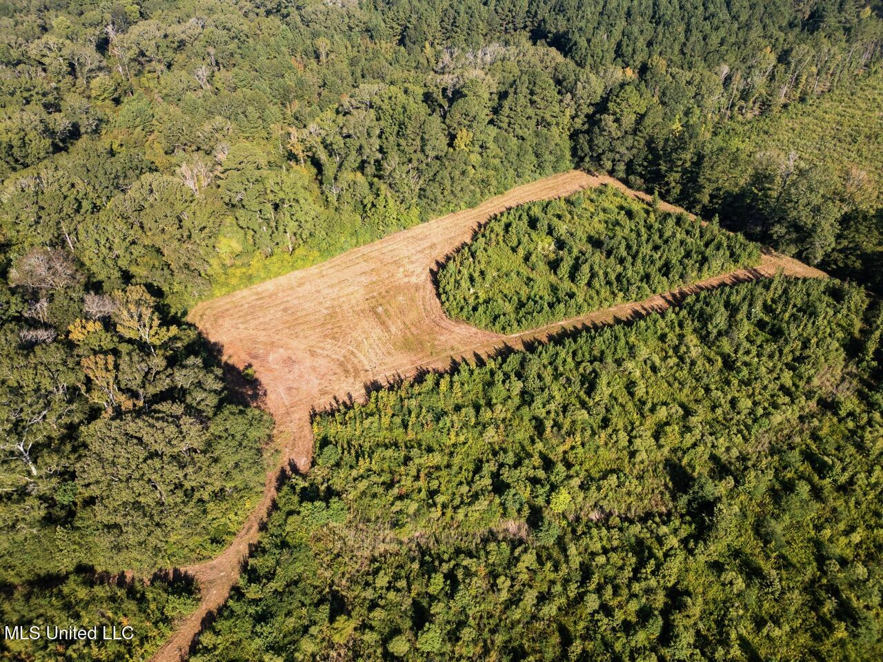 Cotton Creek 169 Acres for Sale in Amite County, MS