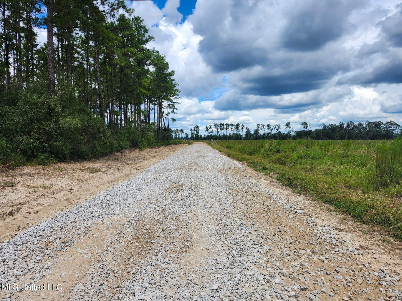 Land for Sale in Tangipahoa Parish, LA.