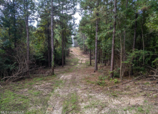 Ramsey Creek 67 Acres for Sale in Centreville, MS