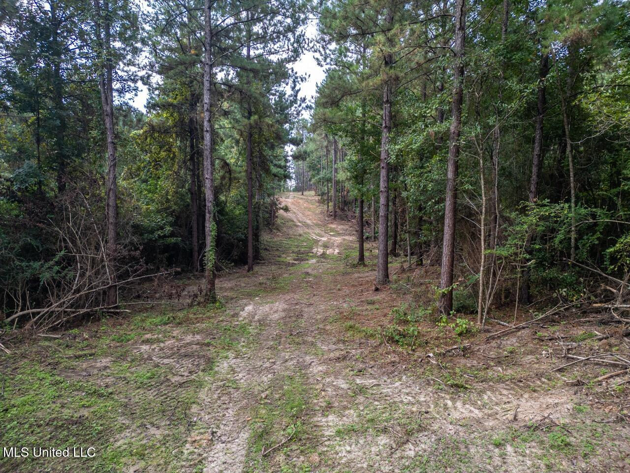 Ramsey Creek 67 Acres for Sale in Centreville, MS