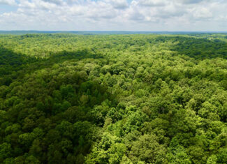 DEER HUNTING PROPERTY FOR SALE IN TN