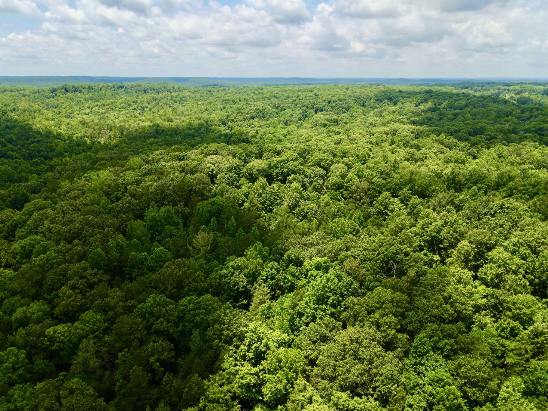 DEER HUNTING PROPERTY FOR SALE IN TN