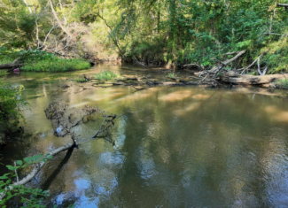 30 Acre Amite River Hunting Tract Amite County MS