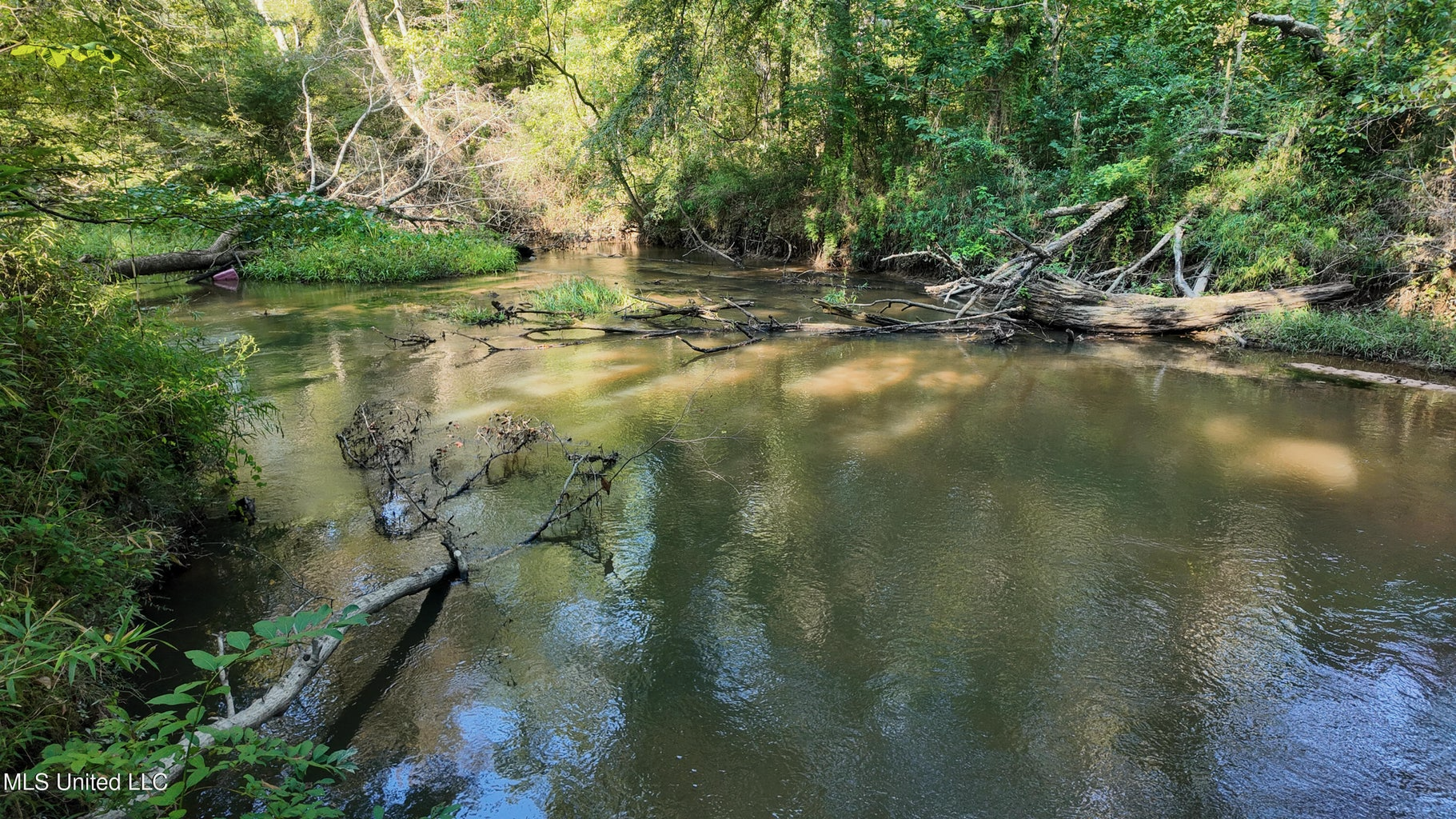 30 Acre Amite River Hunting Tract Amite County MS