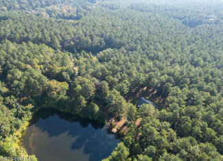 113 Acres Hunting Land with Home in Amite County, MS