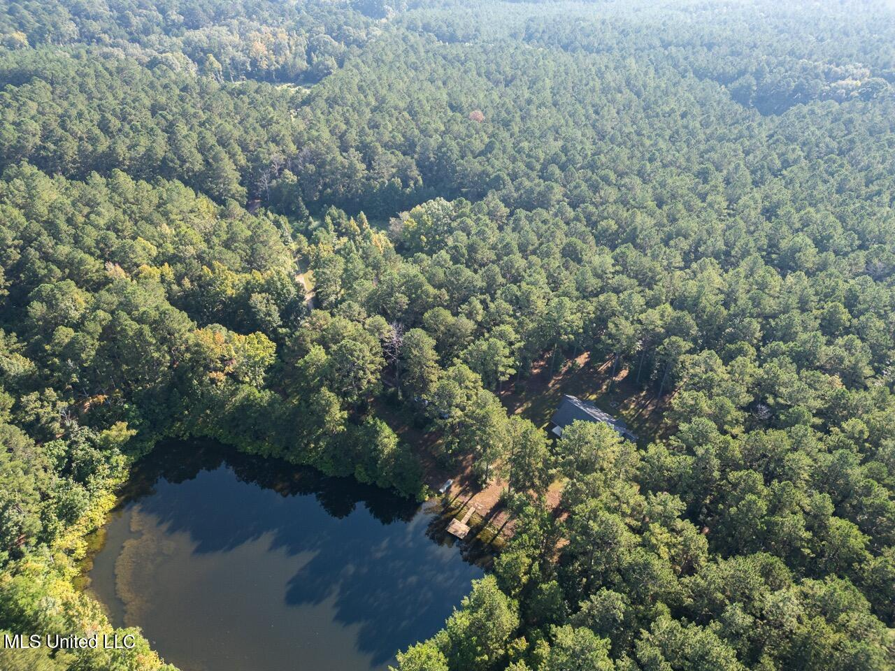 113 Acres Hunting Land with Home in Amite County, MS